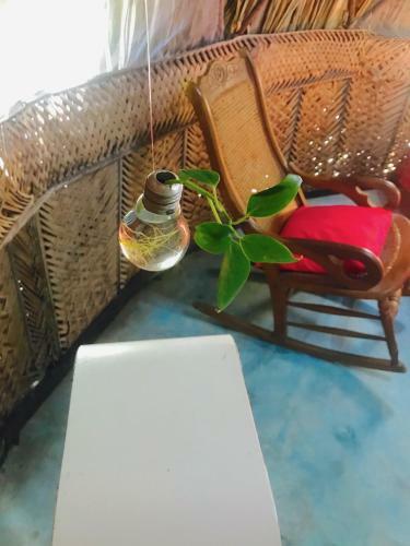 Agroturismo Los Almendros Alojamientos Exclusivos