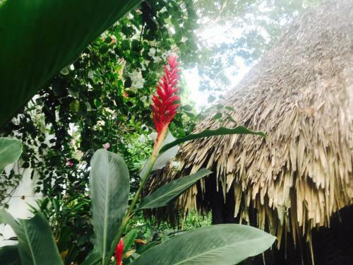 Agroturismo Los Almendros Alojamientos Exclusivos