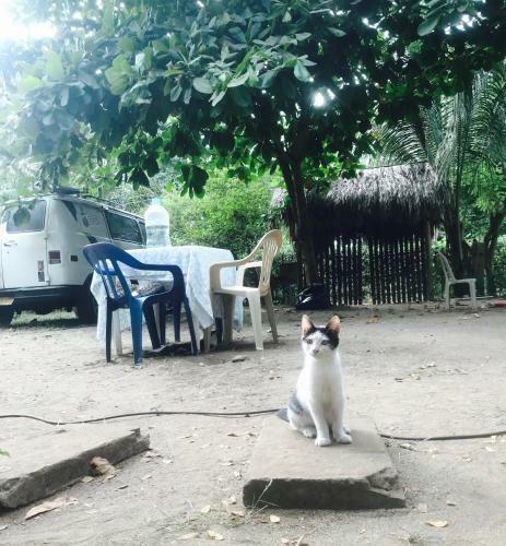 Agroturismo Los Almendros Alojamientos Exclusivos