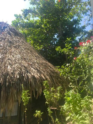 Agroturismo Los Almendros Alojamientos Exclusivos