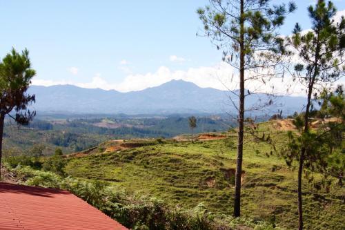 Bed & Breakfast Waterfall Caf� Retreat