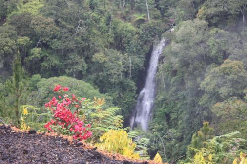 Bed & Breakfast Waterfall Caf� Retreat