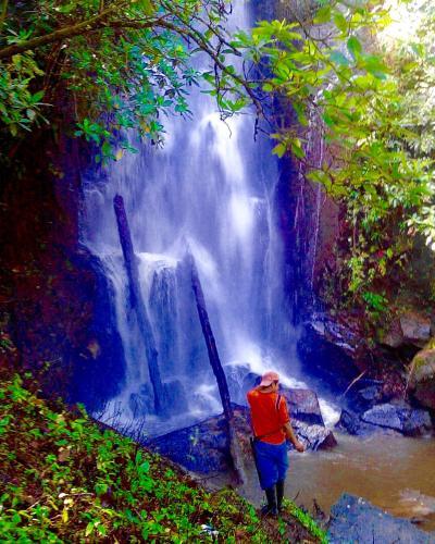 Bed & Breakfast Waterfall Caf� Retreat