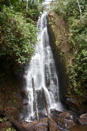 Bed & Breakfast Waterfall Caf� Retreat