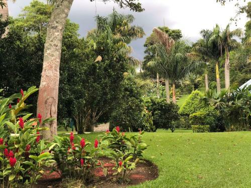 Finca Hotel Villa Stefy