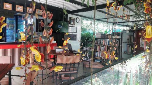 Hotel Star Hostal - Club De Tenis