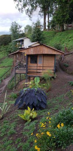 Lodge Ixupark Piscinas Climatizadas