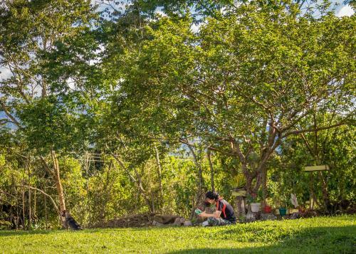Lodge Caba�a Numbana