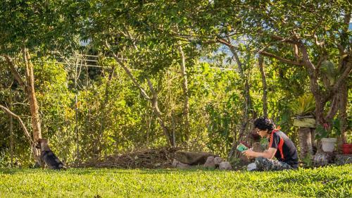 Lodge Caba�a Numbana