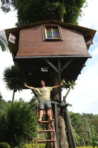 Hotel La Casa Del Arbol