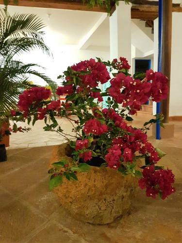 Hostal Meraki Boutique Hostel