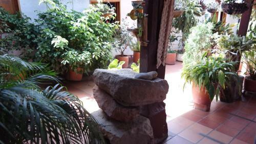 Hotel Casa Posada Don Chepe