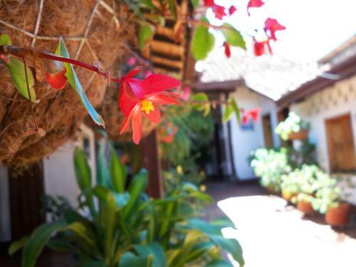 Hotel Casa Posada Don Chepe