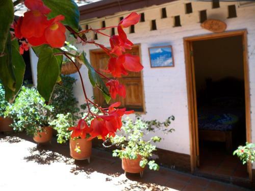 Hotel Casa Posada Don Chepe
