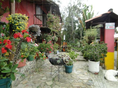 Hotel La Posada De Quevedo