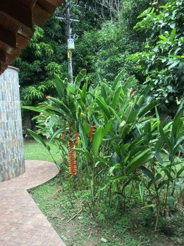 Villa Condominio Campestre