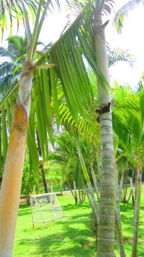 Albergue Hoster�a Posada De Verano