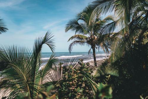 Albergue Los Hermanos Beach Hostal