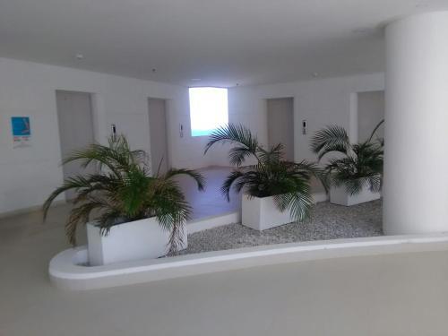 Apartamento Con Salida Al Mar