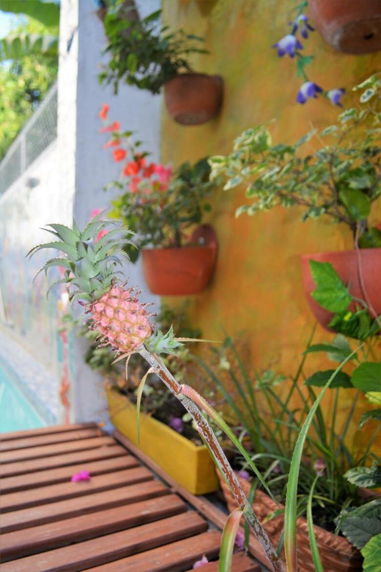 Albergue Casa De Mony