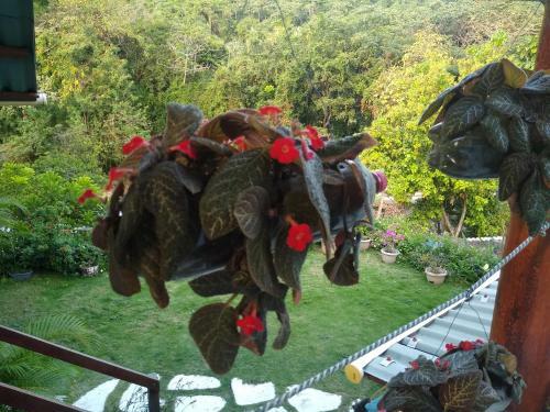 Lodge Casaluna Tayrona