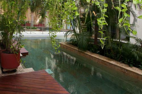 Luxury 3 Bedroom With Private Jacuzzi And Pool