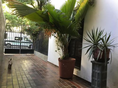 Apartamento Brisas De La 22