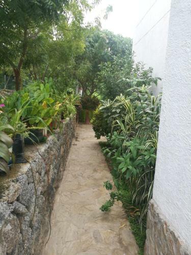 Hostal Jard�n Del Eeden