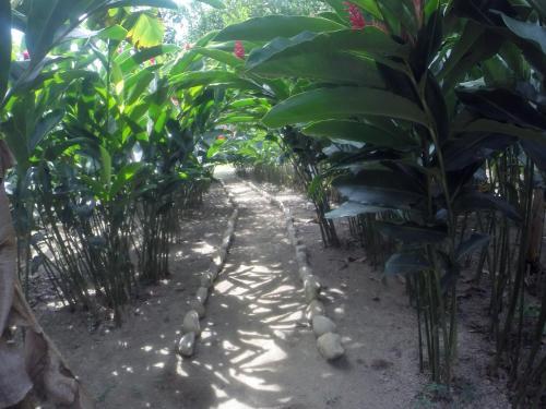 Hostal Zendukua Ecolodge - Manantial River