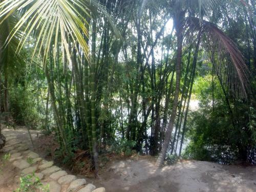 Hostal Zendukua Ecolodge - Manantial River