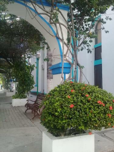 Apartamento Alojamiento La Mansi�n