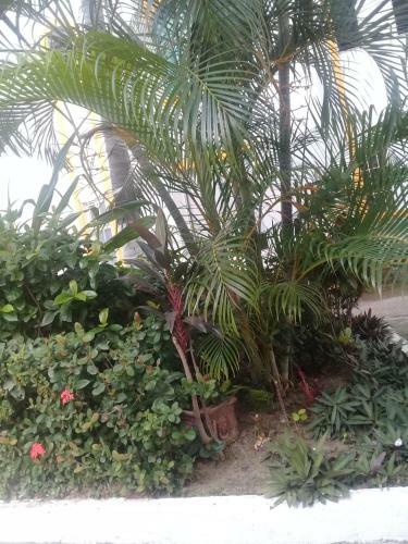 Apartamento Alojamiento La Mansi�n