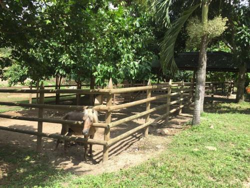 Lodge Finca Con R�o Privado
