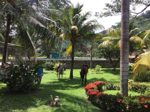 Lodge Finca Con R�o Privado