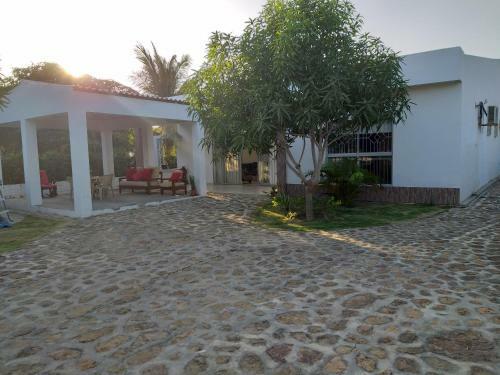Jacky's House