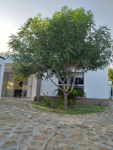 Jacky's House