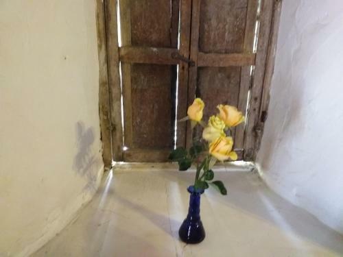Bed & Breakfast Estancia Vanegas
