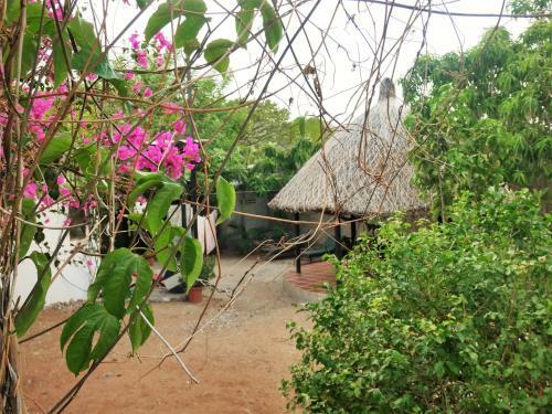 Samo Backpacker Hostel