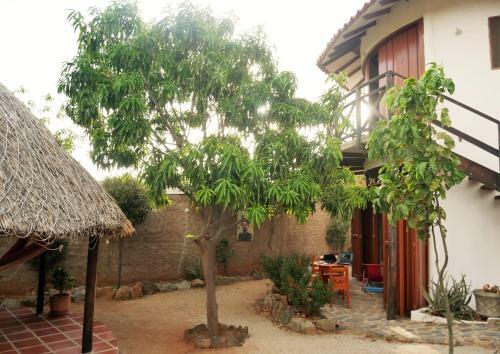Samo Backpacker Hostel