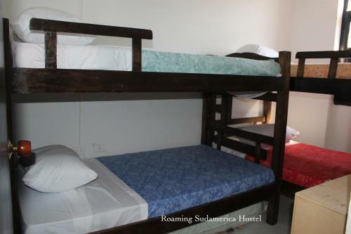 Hostal Roaming Sudamerica Hostel