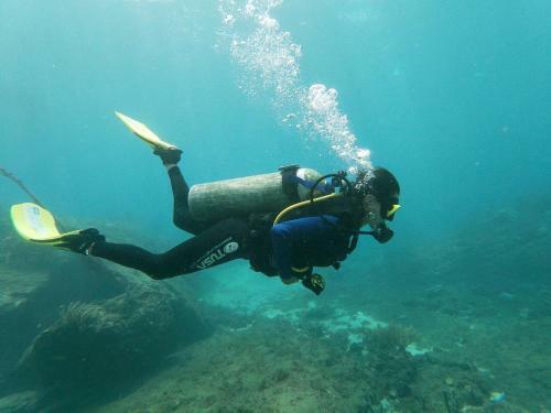 Albergue Manigua Taganga Dive Center