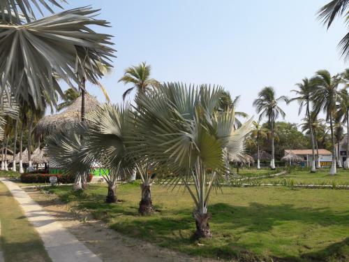 Hotel Paraiso Del Mar
