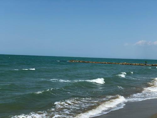 Caba�a Tol� Cove�as Playa