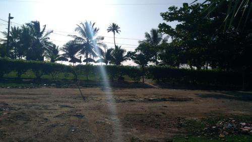 Apartamento Bugaloo Del Palmar