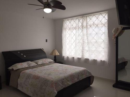 Casa Para Festival
