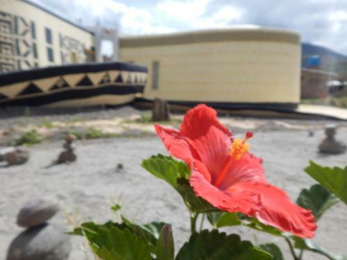 Hotel Entre Sombreros