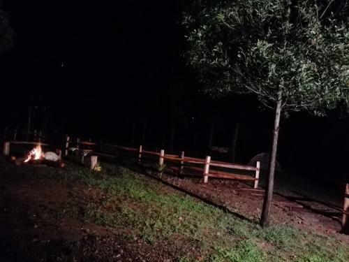 Zona Camping Oasis Del Roble