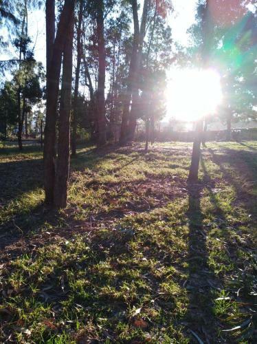 Zona Camping Oasis Del Roble