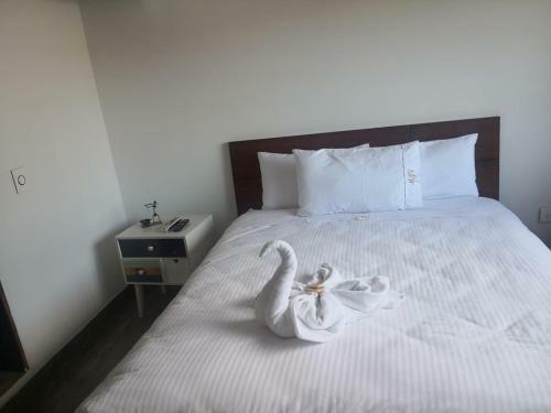 Hotel Miracle