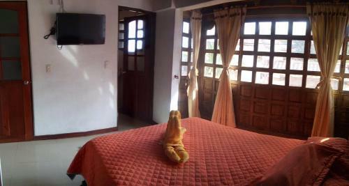 Albergue Chez Alicia Hostal